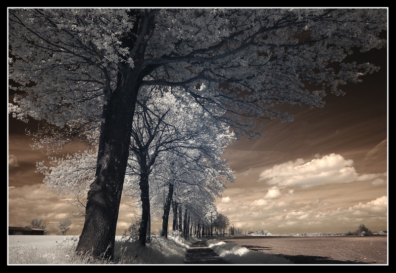 Clicca per l'immagine full size
