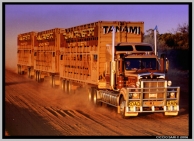 Nome File=ROAD_TRAIN_AUSTRALIA.jpg
Dimensione File=208KB
Dimensioni=810x589
Data aggiunta=Ott 01, 2008 ROAD_TRAIN_AUSTRALIA.jpg