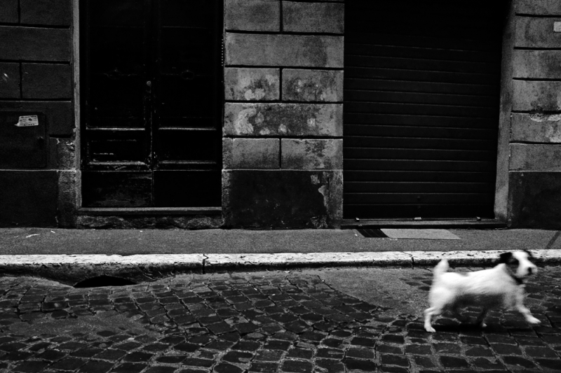 Clicca per l'immagine full size
