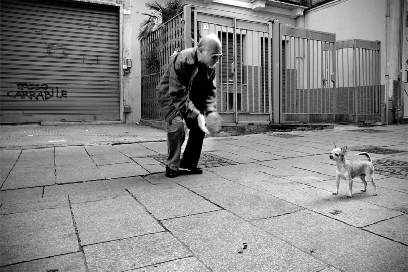 Clicca per l'immagine full size