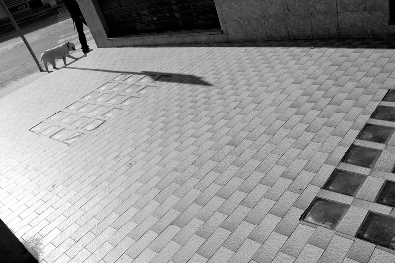 Clicca per l'immagine full size