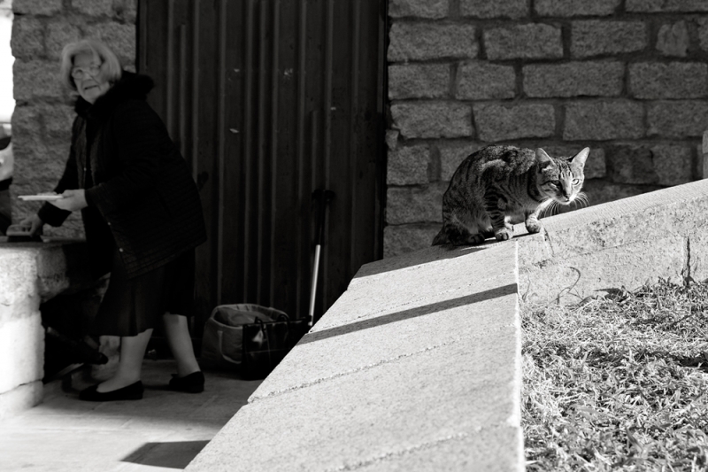 Clicca per l'immagine full size