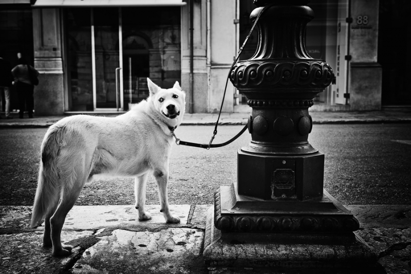 Clicca per l'immagine full size