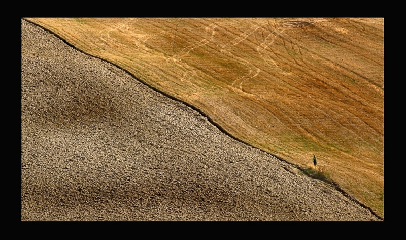 Clicca per l'immagine full size