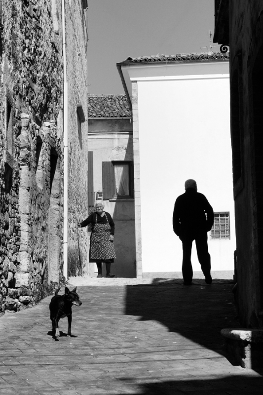 Clicca per l'immagine full size