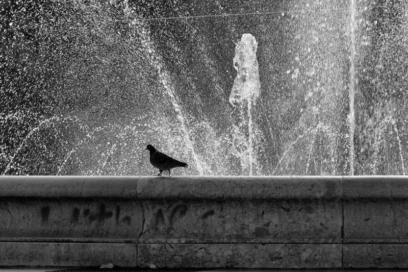 Clicca per l'immagine full size