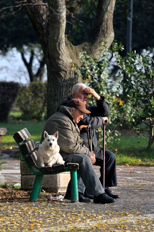Clicca per l'immagine full size