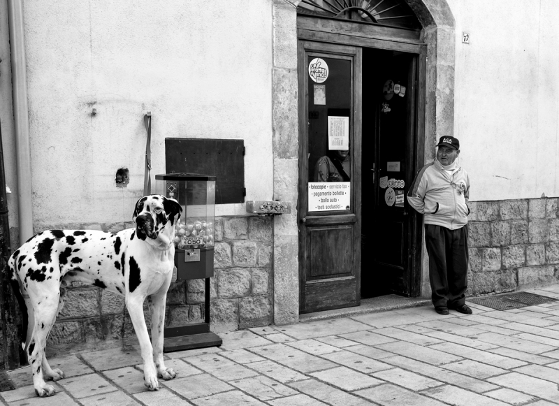 Clicca per l'immagine full size