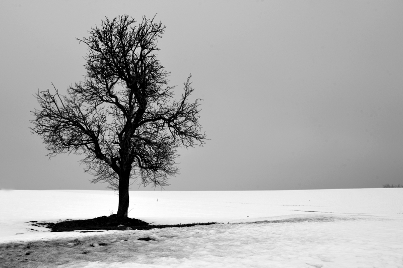 Clicca per l'immagine full size