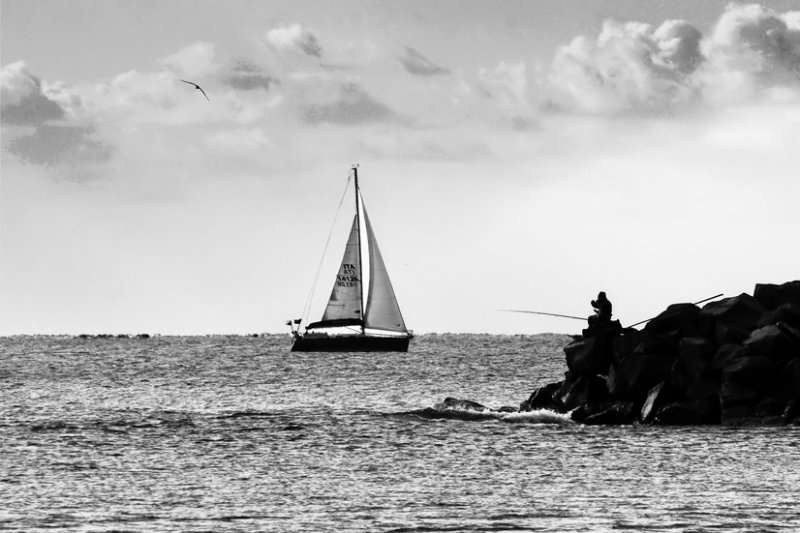 Clicca per l'immagine full size