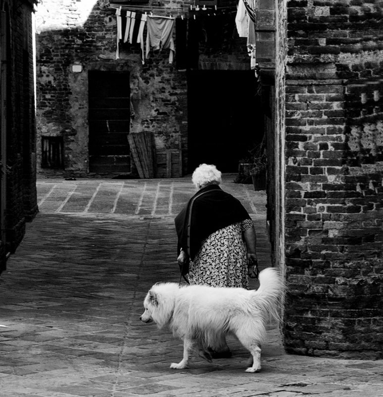 Clicca per l'immagine full size