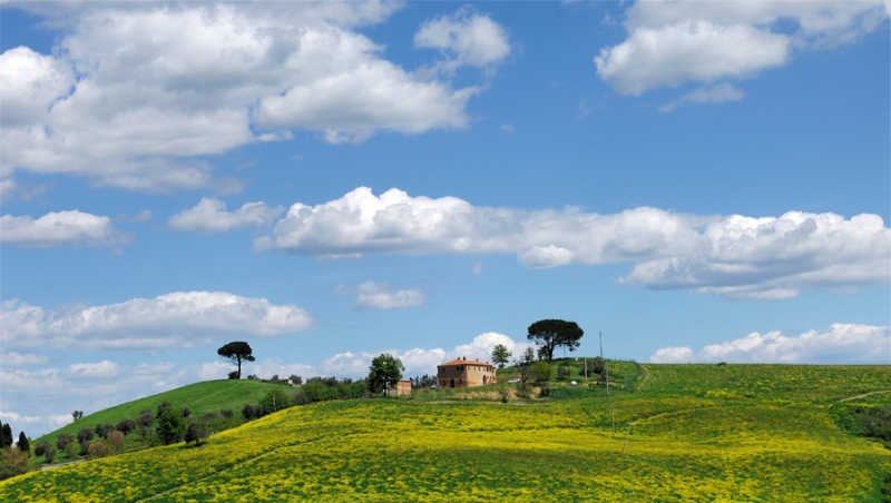 Clicca per l'immagine full size