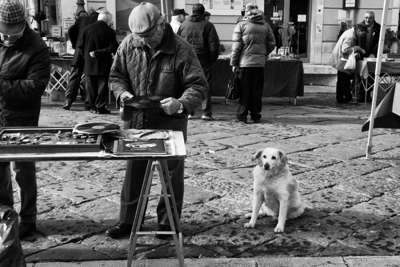 Clicca per l'immagine full size