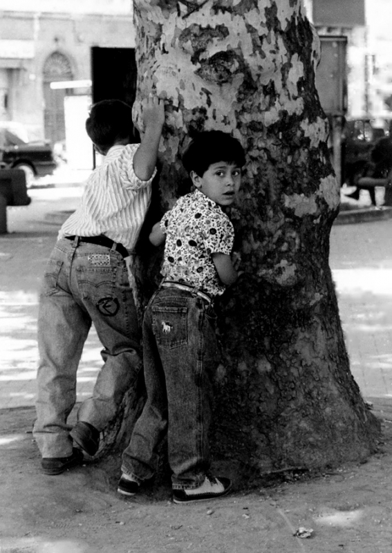 Clicca per l'immagine full size