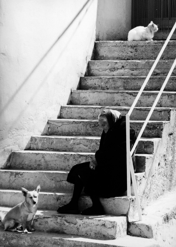 Clicca per l'immagine full size