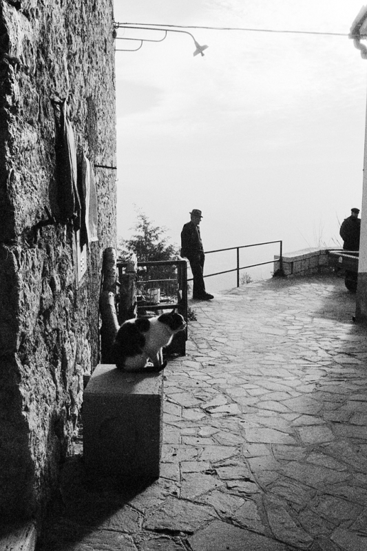 Clicca per l'immagine full size