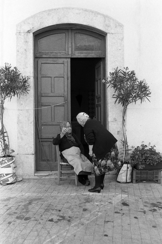 Clicca per l'immagine full size