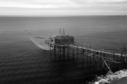DSC_0039_.jpg DSC_0039_.jpg