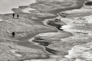 Nome File=DSC_2318.jpg
Dimensione File=541KB
Dimensioni=1100x733
Data aggiunta=Mar 13, 2016 DSC_2318.jpg
