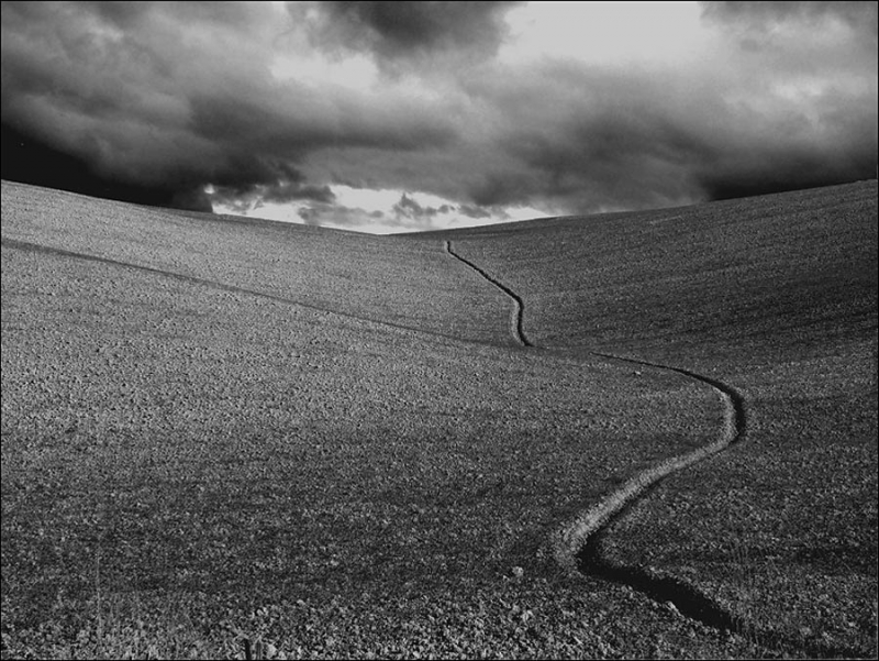 Clicca per l'immagine full size