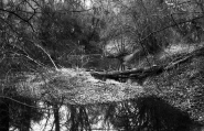 Nome File=08_Altrheinbrücke_Gernsheim_01_18_03_2015011_micro.jpg
Dimensione File=260KB
Dimensioni=800x518
Data aggiunta=Mar 25, 2015 08_Altrheinbrücke_Gernsheim_01_18_03_2015011_micro.jpg