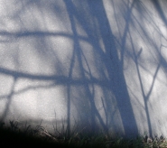 BILD3629Micro.jpg