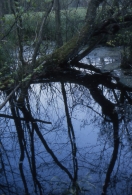 File1435-MM.jpg