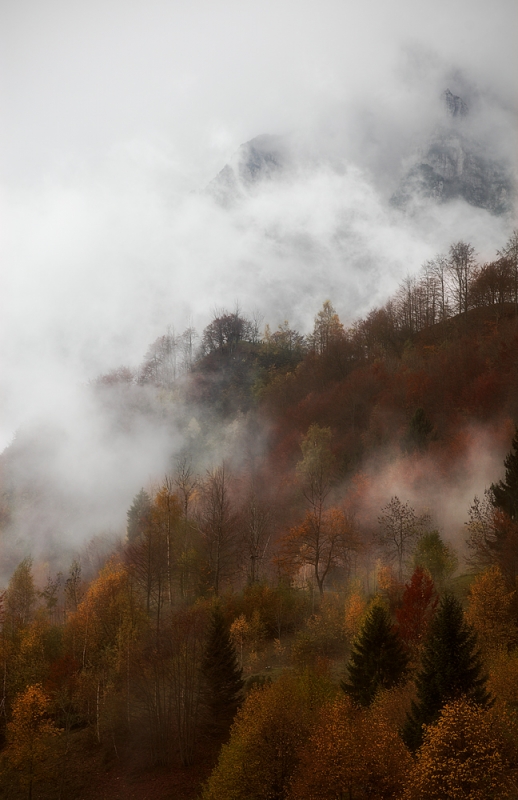 Clicca per l'immagine full size