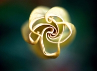 Nome File=mandala.jpg
Dimensione File=54KB
Dimensioni=1024x758
Data aggiunta=Ott 10, 2008 mandala.jpg