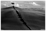 Nome File=26NOV08Campagne-senesi_3716.jpg
Dimensione File=221KB
Dimensioni=700x475
Data aggiunta=Nov 26, 2008 26NOV08Campagne-senesi_3716.jpg