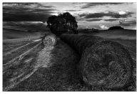Nome File=LandscapeBlackWhite.jpg
Dimensione File=79KB
Dimensioni=700x475
Data aggiunta=Nov 17, 2008 LandscapeBlackWhite.jpg