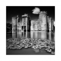Nome File=The_castle.jpg
Dimensione File=291KB
Dimensioni=765x765
Data aggiunta=Nov 19, 2008 The_castle.jpg