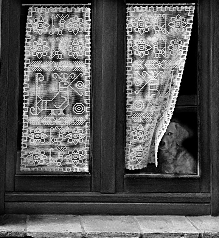Clicca per l'immagine full size