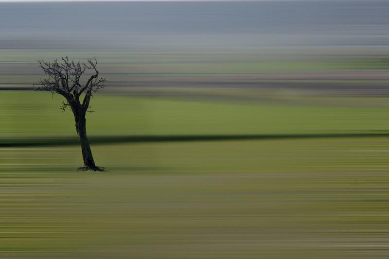 Clicca per l'immagine full size