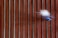 449A6885_copia.jpg 449A6885_copia.jpg