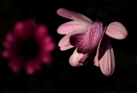 IMG_8238_copia.jpg