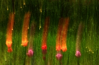 allegretto_con_brio,_giocoso,_quasi_scherzando.jpg