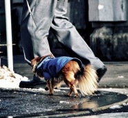 gore-tex-0.jpg gore-tex-0.jpg