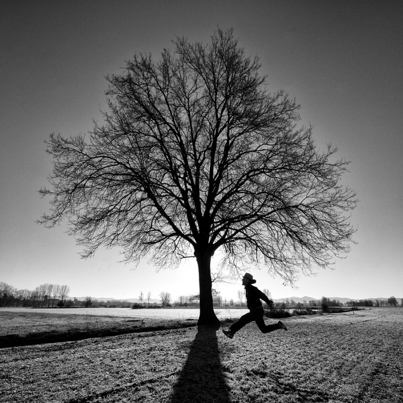 Clicca per l'immagine full size