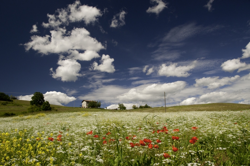 Clicca per l'immagine full size