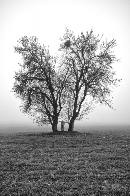 Clicca per l'immagine full size