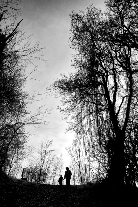 Clicca per l'immagine full size