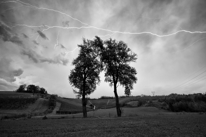 Clicca per l'immagine full size