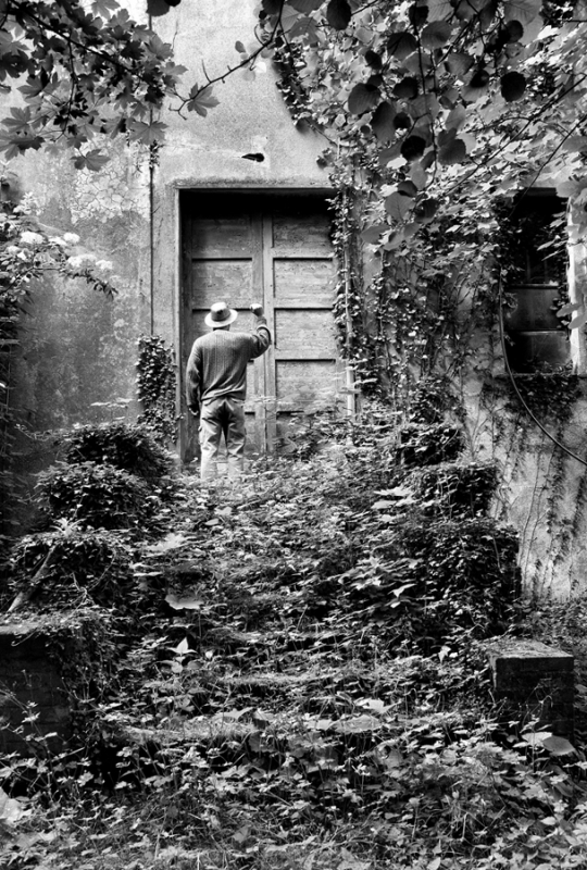 Clicca per l'immagine full size