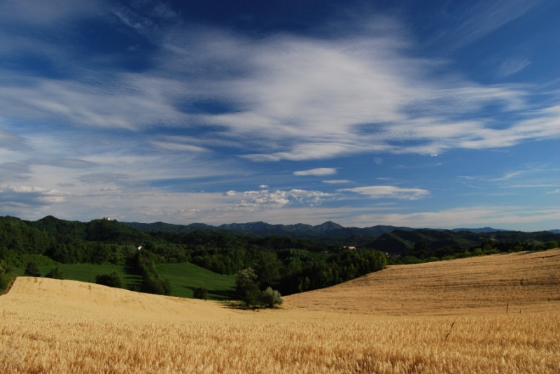 Clicca per l'immagine full size