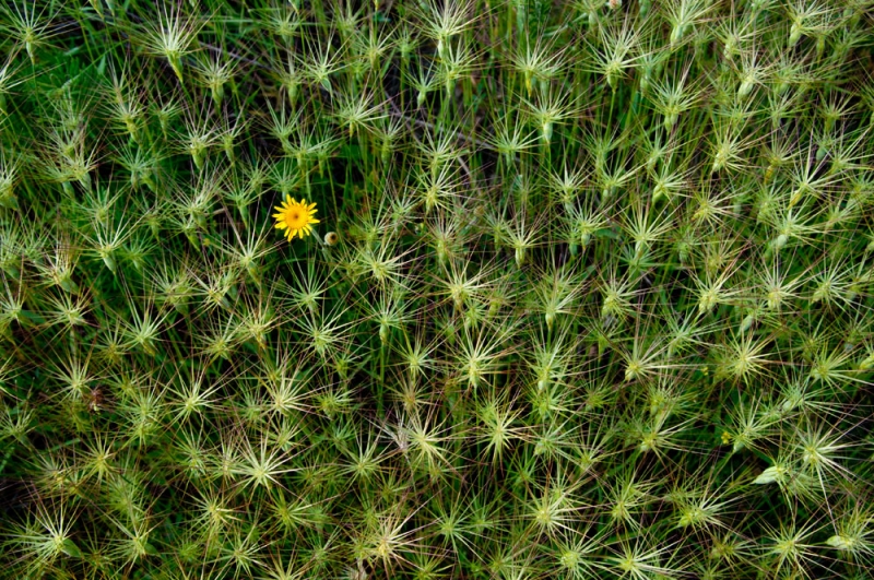 Clicca per l'immagine full size