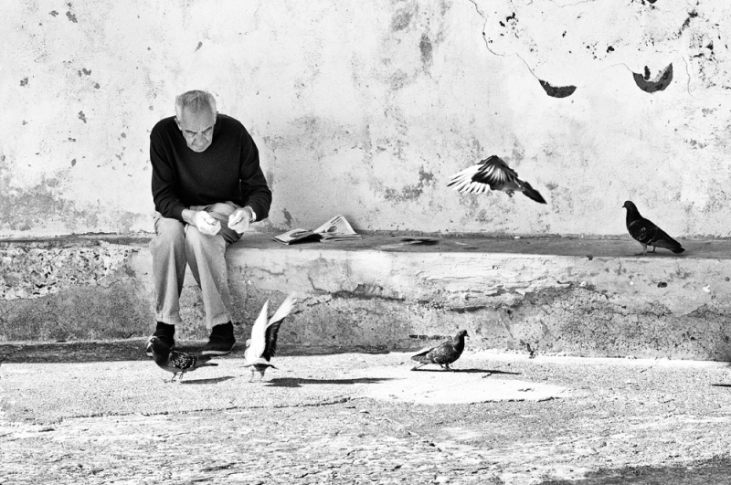 Clicca per l'immagine full size