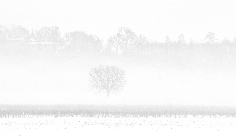 Clicca per l'immagine full size
