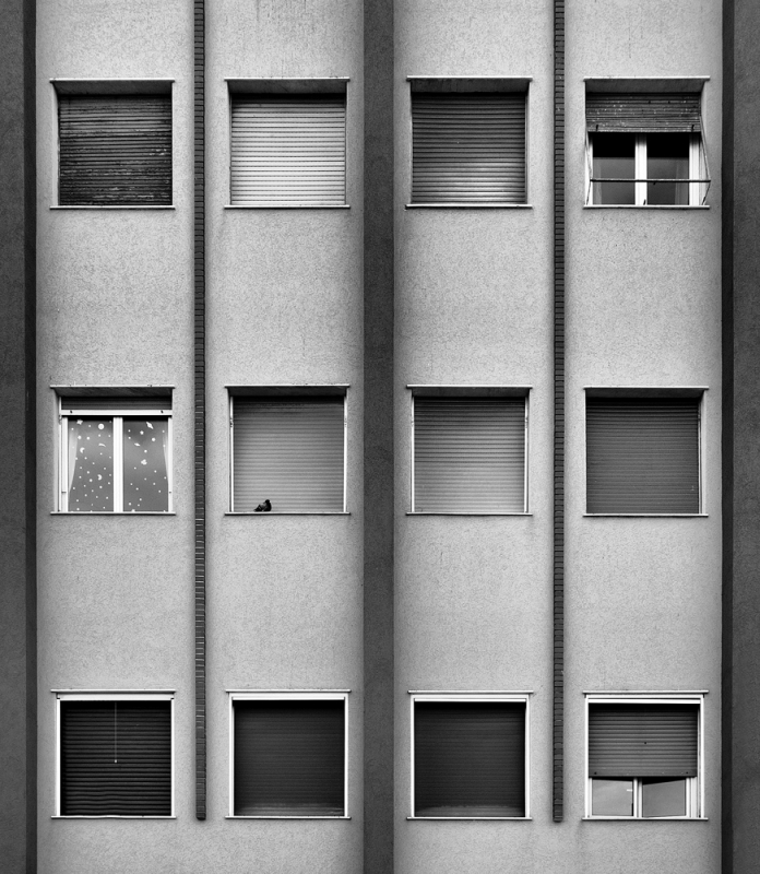 Clicca per l'immagine full size