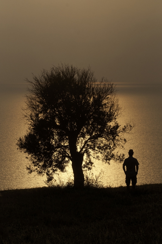 Clicca per l'immagine full size